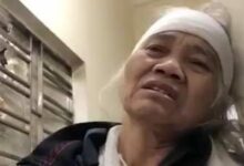 Vợ góa cụ Lê Đình Kình làm đơn tố cáo khẩn cấp việc vu cáo chồng bà là ‘cường hào-ác bá’