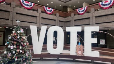 Fligor has large lead in Santa Clara County assessor race