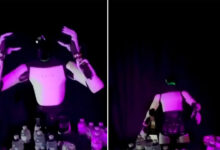 Tư thế ngã của robot hình người Tesla gây nghi ngờ