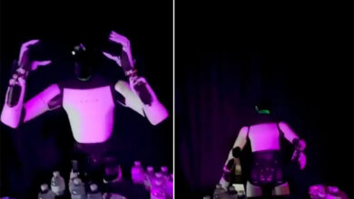 Tư thế ngã của robot hình người Tesla gây nghi ngờ