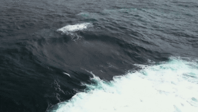 Cột nước phun bất thường giữa biển do sóng va chạm