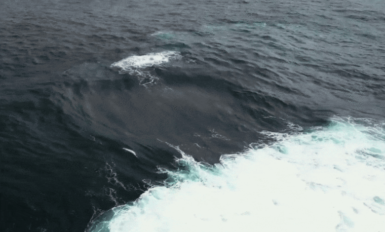 Cột nước phun bất thường giữa biển do sóng va chạm