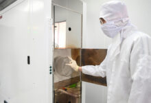 Việt Nam sẽ có những trung tâm nghiên cứu tầm thế giới vào năm 2030 Việt Nam sẽ có những trung tâm nghiên cứu tầm thế giới vào năm 2030