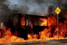 Băng đảng ma túy Mexico trả thù, rủi ro bạo lực leo thang