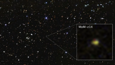 Phát hiện thiên hà cổ xưa nhất lịch sử