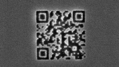 Mã QR nhỏ hơn vi khuẩn lập kỷ lục thế giới