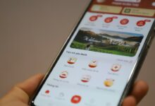 TP HCM chi hơn 1.600 tỷ đồng hỗ trợ lực lượng ‘làm sạch dữ liệu’