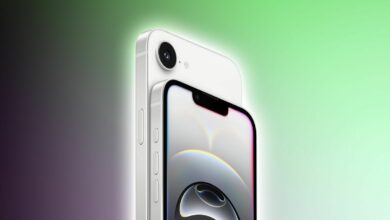 iPhone 17e có thể ra mắt ngày 19/2