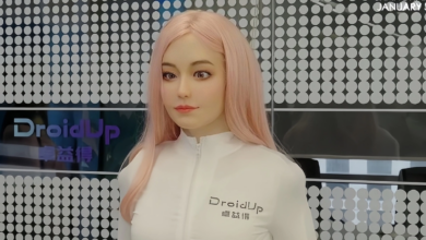 Làn sóng chế tạo robot ‘lấy lòng’ người dùng