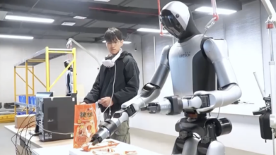 Quá trình ‘bảo mẫu’ huấn luyện robot hình người