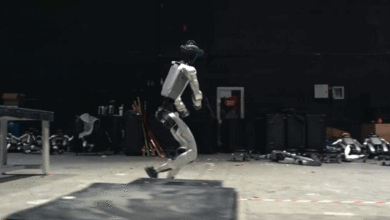 Hậu trường robot Trung Quốc tập parkour, múa côn cho gala năm mới