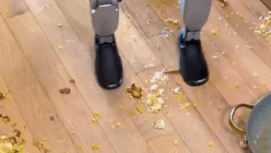 Loạt sự cố hài hước của robot hình người