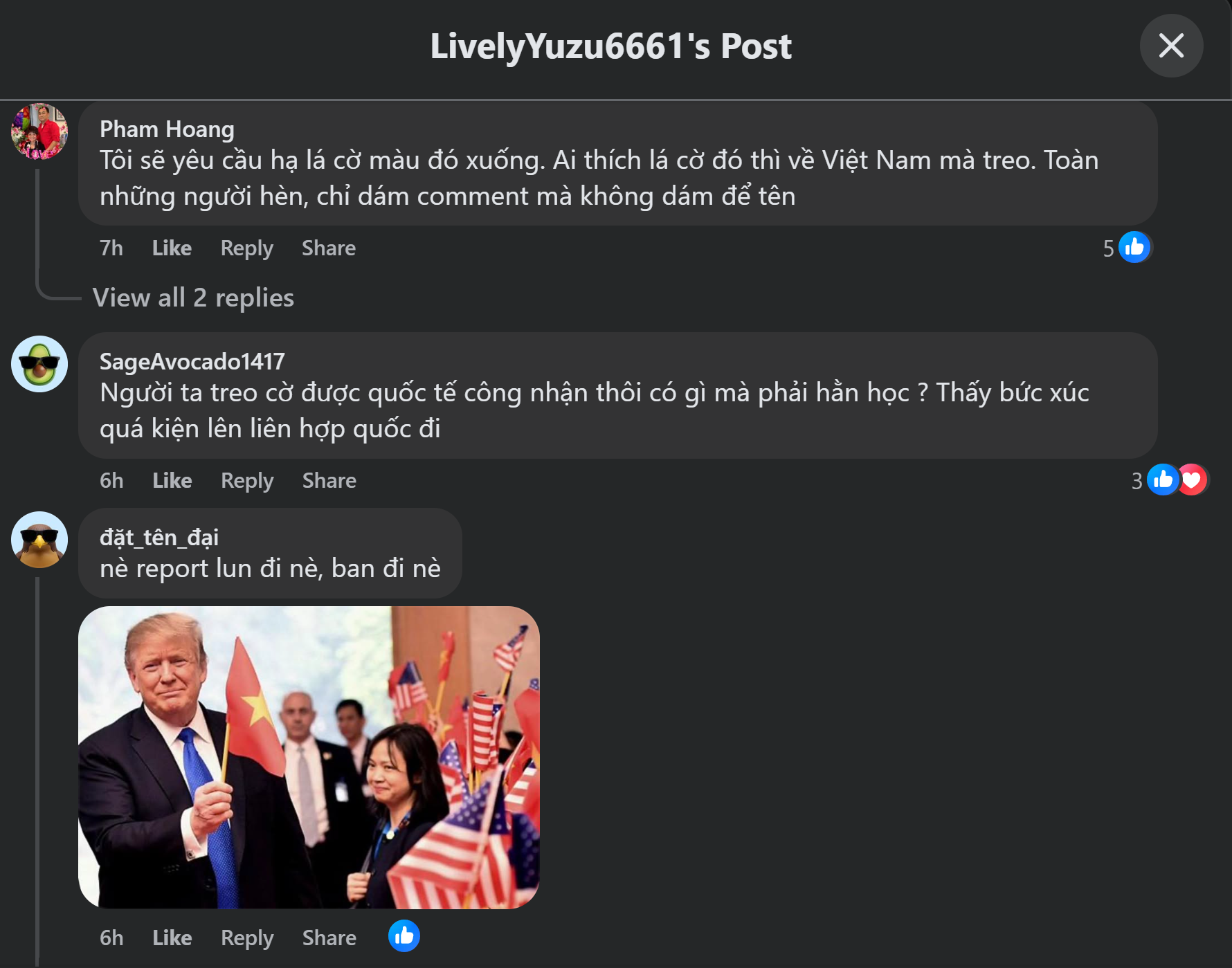 Tại vùng San Jose, Trường trung học Milpitas treo cờ đỏ sao vàng