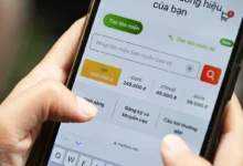 Một tên miền Việt Nam được bán giá 217 triệu đồng