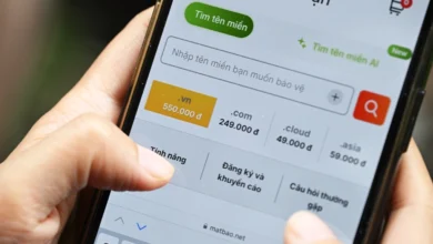 Một tên miền Việt Nam được bán giá 217 triệu đồng