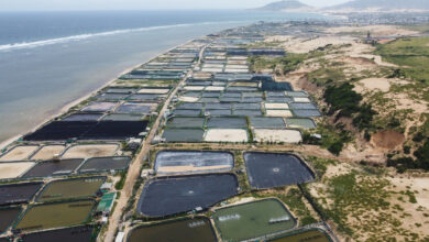 Phạt 2 tỷ đồng nếu để xảy ra sự cố hạt nhân