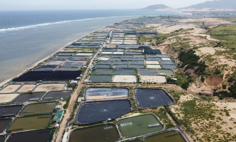 Phạt 2 tỷ đồng nếu để xảy ra sự cố hạt nhân Phạt 2 tỷ đồng nếu để xảy ra sự cố hạt nhân