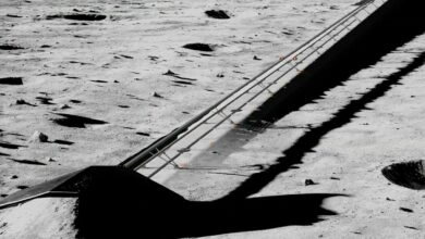 Elon Musk muốn xây đường ray phóng vệ tinh trên Mặt Trăng