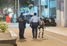 Robot hình người bị bắt vì dọa cụ bà 70 tuổi