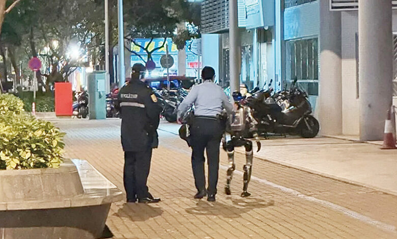 Robot hình người bị bắt vì dọa cụ bà 70 tuổi