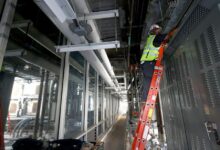 Cơn sốt AI kéo Gen Z vào nghề thợ điện