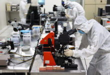 TP HCM muốn huy động 1.000 tỷ đồng kiều hối cho khoa học công nghệ