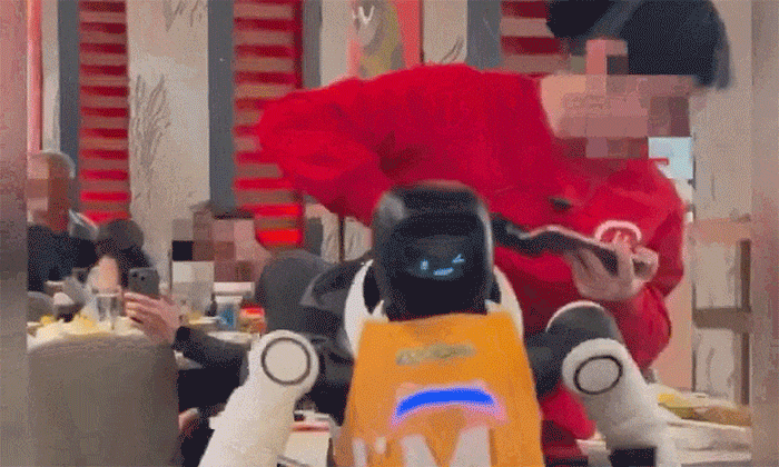 Robot hình người bị lôi khỏi nhà hàng vì đập bát đĩa
