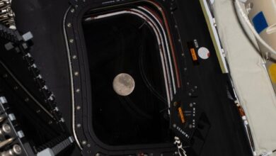 Các cột mốc lịch sử Artemis II dự kiến xác lập đêm nay