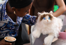 Xu hướng ‘công nghệ chữa lành’ tại Trung Quốc