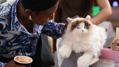 Xu hướng ‘công nghệ chữa lành’ tại Trung Quốc