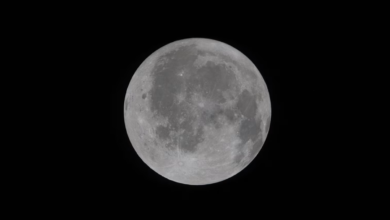 Ảnh cận cảnh Mặt Trăng đầu tiên chụp từ Artemis II