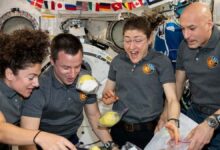 Phi hành gia thay đổi cảm nhận trọng lực khi về Trái Đất