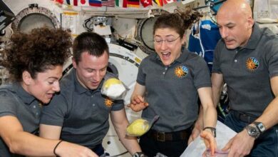 Phi hành gia thay đổi cảm nhận trọng lực khi về Trái Đất