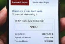 Đấu giá quyền sử dụng mã, số viễn thông, khởi điểm 250 triệu đồng