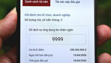 Đấu giá quyền sử dụng mã, số viễn thông, khởi điểm 250 triệu đồng
