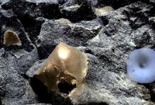 Khối cầu vàng kỳ lạ dưới đáy biển