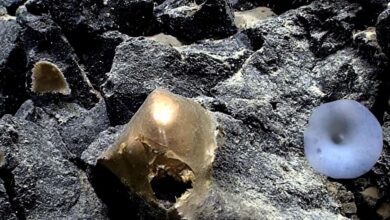 Khối cầu vàng kỳ lạ dưới đáy biển