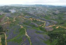 Trang trại lắp 2,23 triệu tấm pin mặt trời hoạt động tại Lào