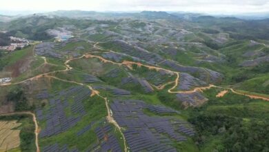 Trang trại lắp 2,23 triệu tấm pin mặt trời hoạt động tại Lào