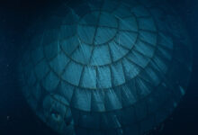 Tấm chắn nhiệt của tàu Artemis II vượt qua thử thách khắc nghiệt