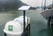 Một chủ tàu bị phạt 70 triệu đồng vì sử dụng Starlink trái phép