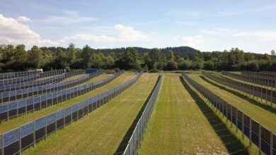 Siêu El Nino năm nay có thể gây ra khủng hoảng năng lượng