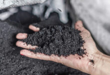 Việt Nam đang trở thành ‘sân chơi lớn’ cho startup nông nghiệp