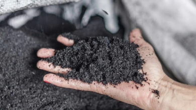 Việt Nam đang trở thành ‘sân chơi lớn’ cho startup nông nghiệp