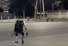 Video robot hình người đuổi lợn rừng gây sốt