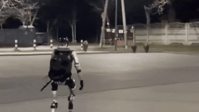 Video robot hình người đuổi lợn rừng gây sốt