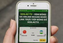 Khởi tố hình sự 28 vụ xâm phạm quyền sở hữu trí tuệ