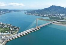 Cầu dây văng một trụ dài nhất thế giới