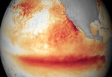 El Nino có thể khiến mưa cực đoan trên toàn cầu