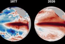 Dòng nước ấm cung cấp sức mạnh cho siêu El Nino